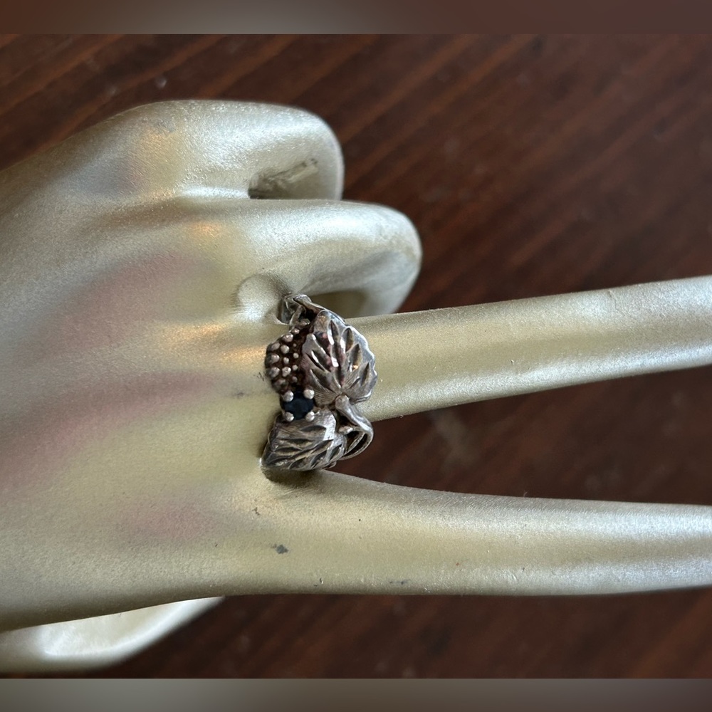 Women’s black hills ring